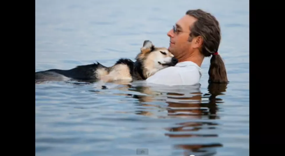 Dog From Viral Facebook Photo That Touched Millions Dies [VIDEO]