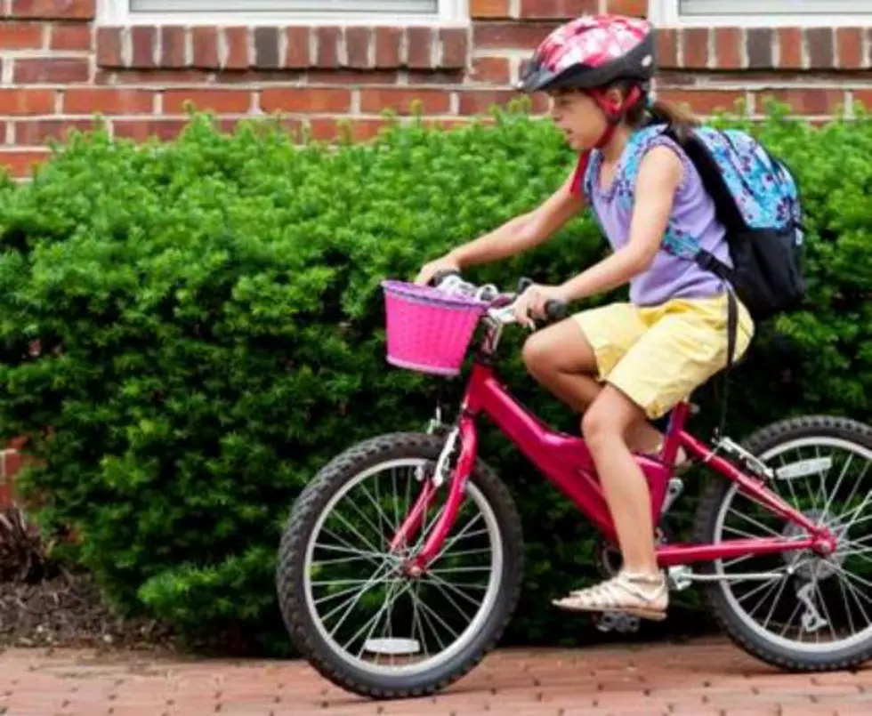 Bike To School Day Today (Friday, August 23rd) in Fort Collins