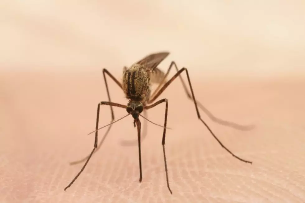 1st Case of West Nile Virus Reported in Boulder County