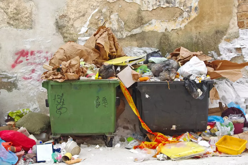 Holiday Recycling in Fort Collins, Loveland, Greeley