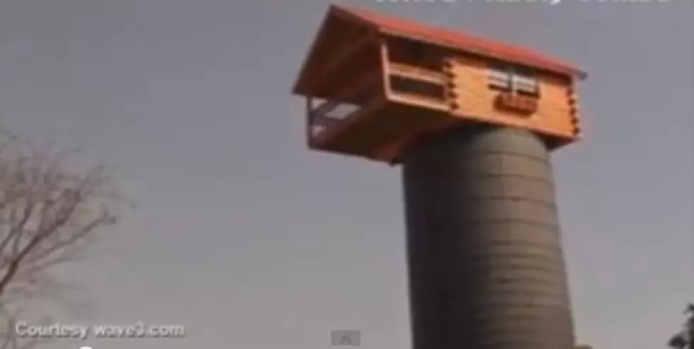 Who Builds A Playhouse On Top Of A Grain Silo?  This Guy [VIDEO]