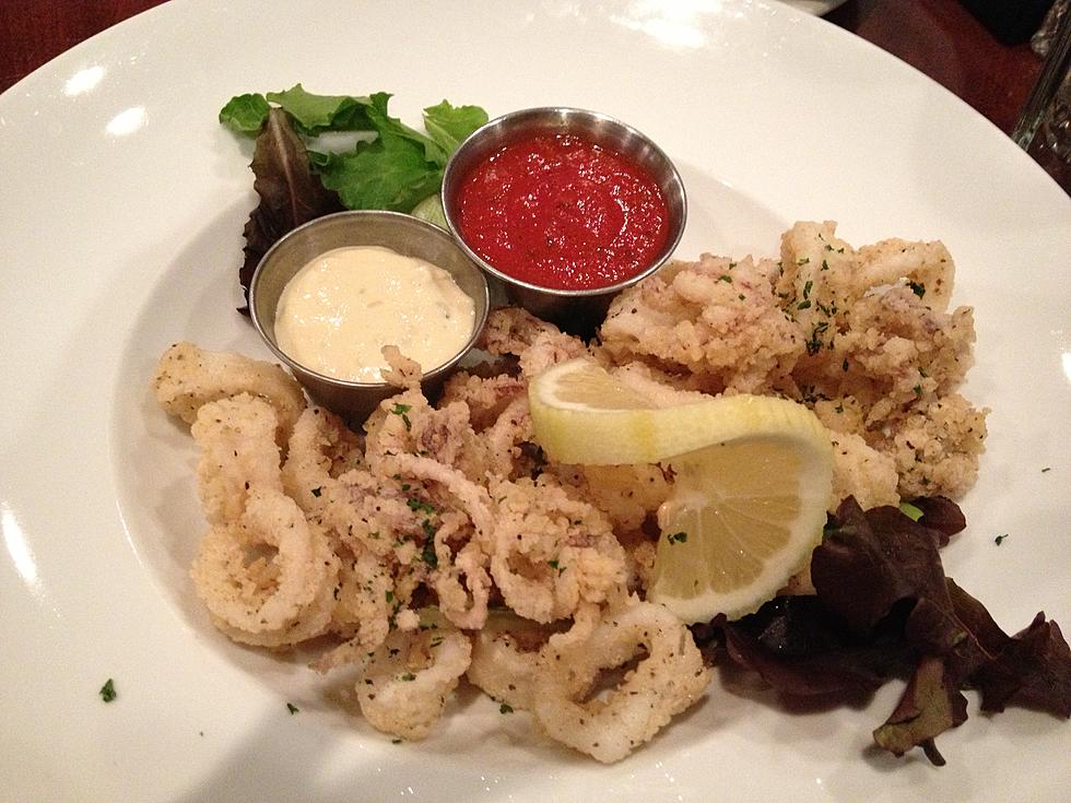 Best Restaurants For Calamari in Fort Collins – Todd’s Top 5