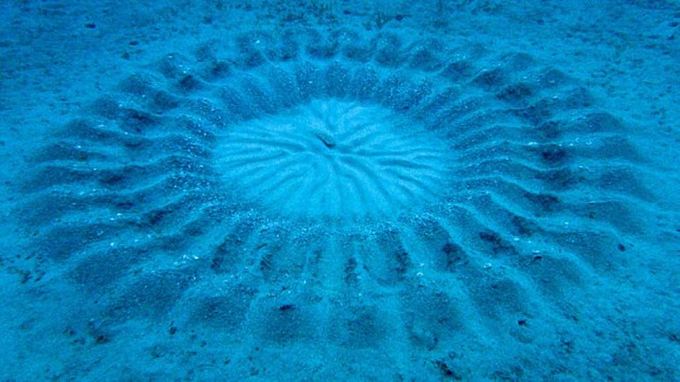Mysterious Sand Design On Ocean Floor Near Japan Explained