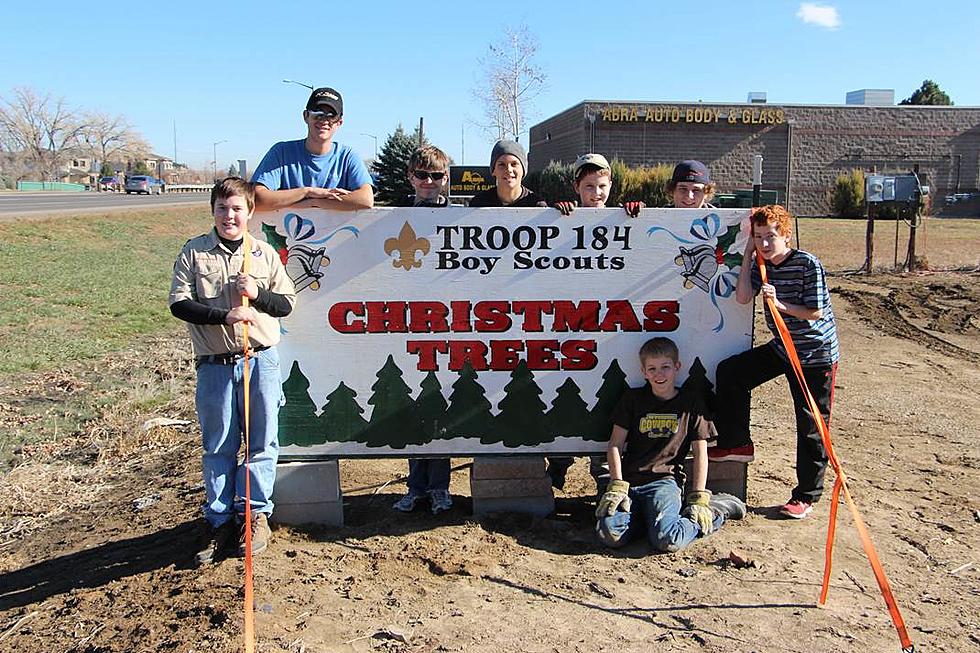 Loveland Troop 184 Christmas Tree Sales Start Friday The 29th