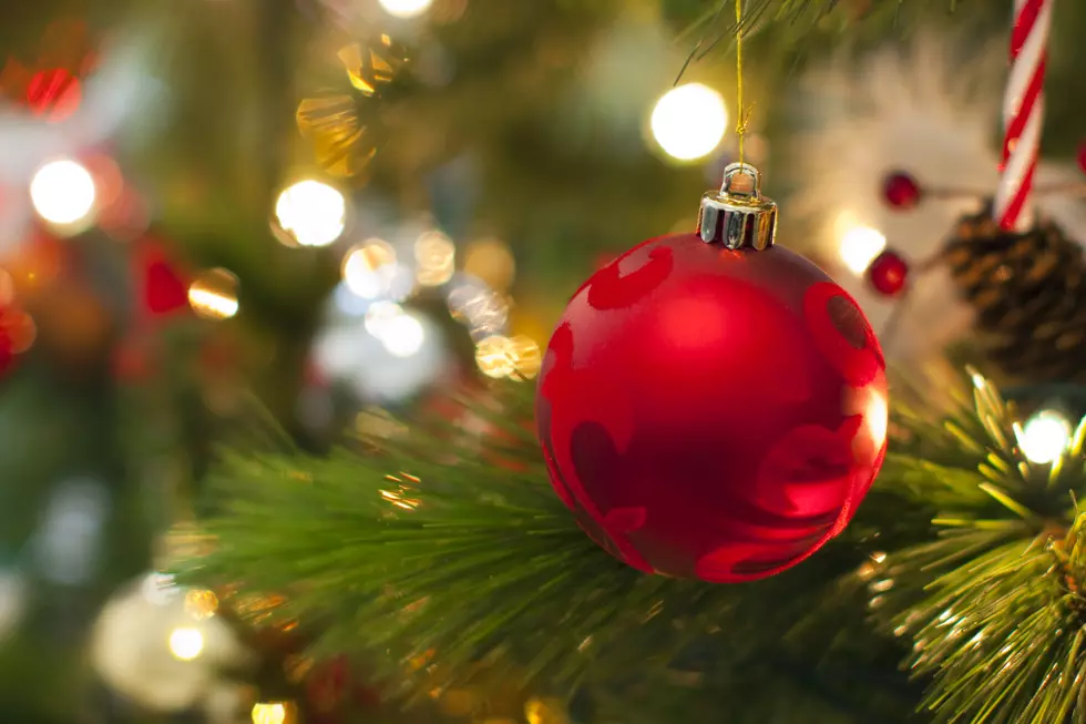 When do You Put up Your Christmas Tree? [POLL]