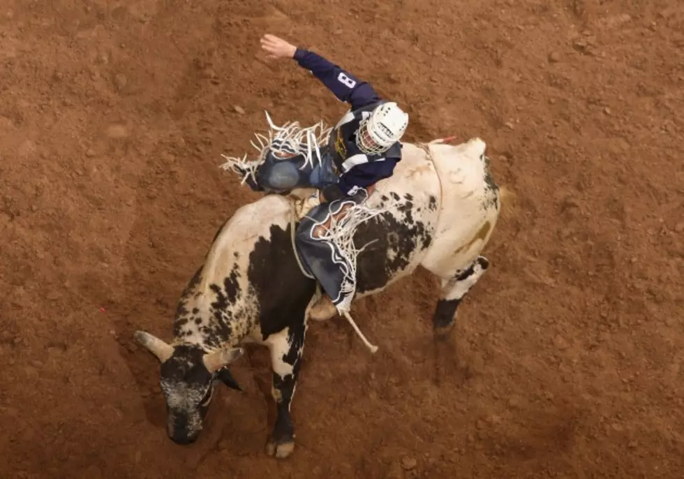 Rodeo Rough Stock Events Draw The Crowds To The Bud Center [VIDEO]