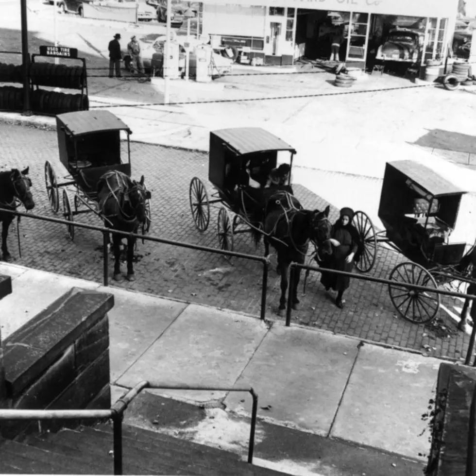 Should Fort Collins Ban Horse Carriage Rides in the City &#8211; One Group Says Yes [POLL]
