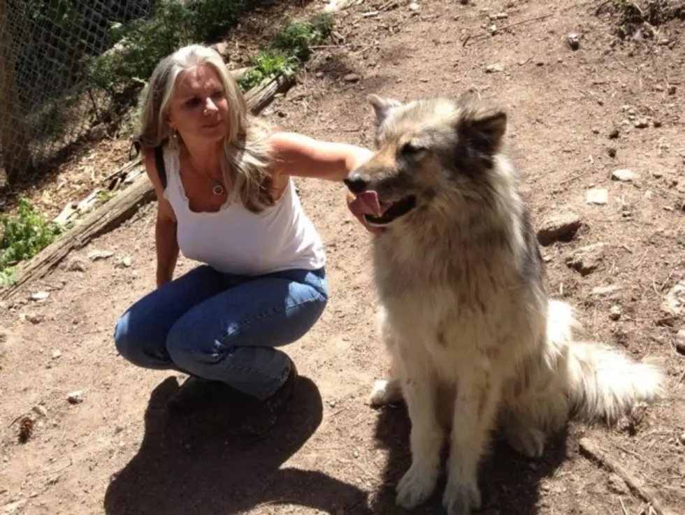 Good Morning Guys To Host Waltz For The Wolves on Saturday &#8211; Pictures From the Sanctuary
