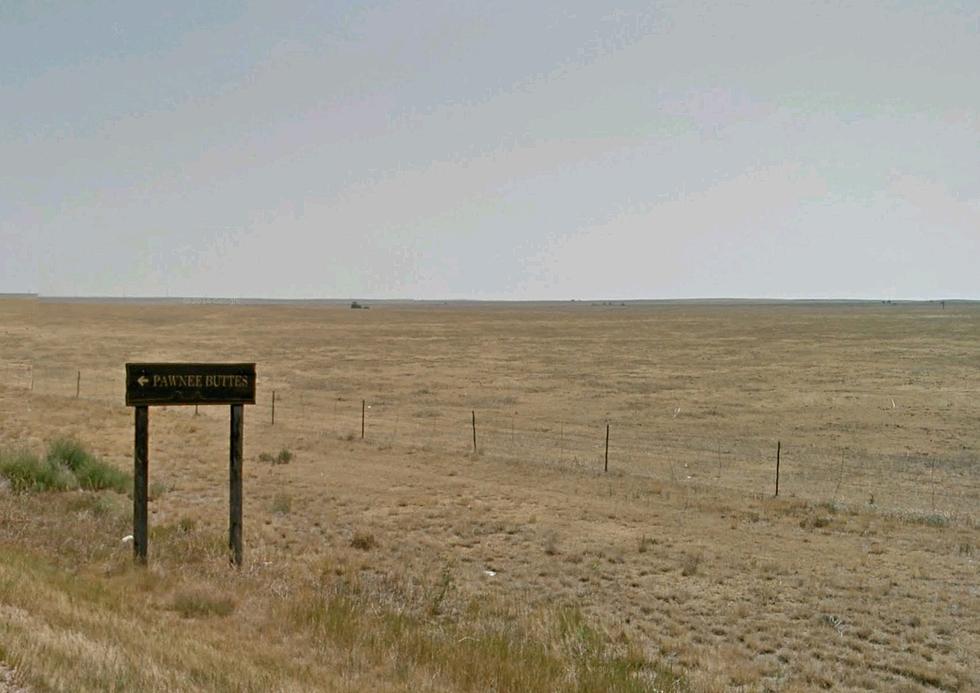 Top Five Reasons to Visit Pawnee National Grassland in Northern Weld County