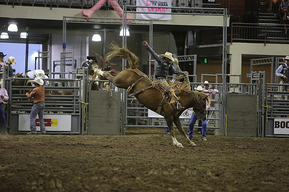Larimer County Fair & Rodeo Underway at The Ranch [SCHEDULE]