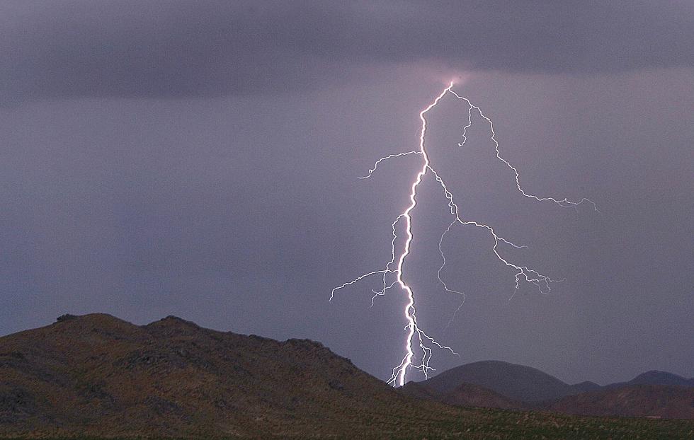 Lightning Obliterates Colorado Tree During Thunderstorm