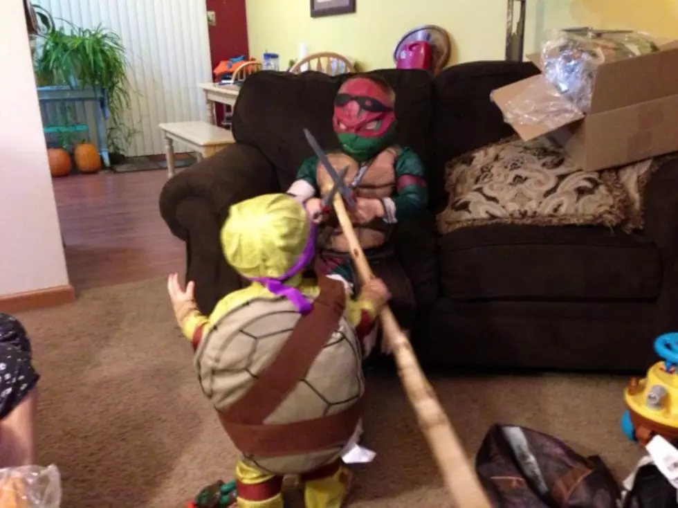 Turtles, Grapes and an Eyeball: My Families Halloween Costumes &#8211; Brian&#8217;s Blog [PICTURES]