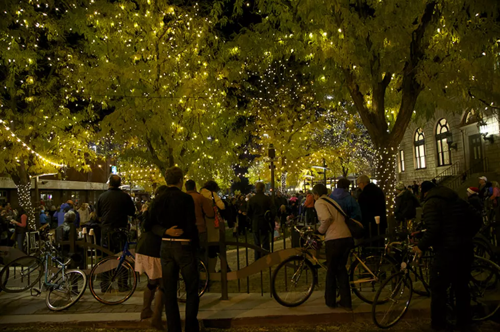Downtown Fort Collins Holiday Lights