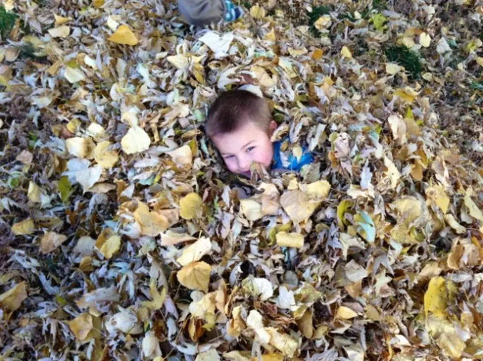 Show Me Picutres of Your Family Playing in the Leaves &#8211; Brian&#8217;s Blog [PICTURES]