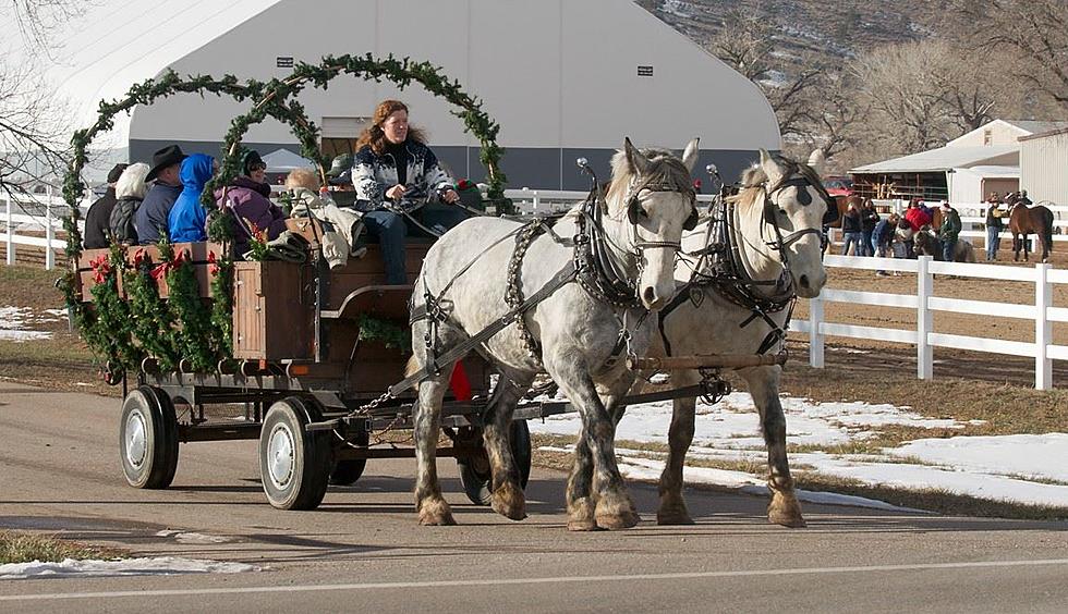 City of Loveland Offers Horse Drawn Christmas Wagon Rides