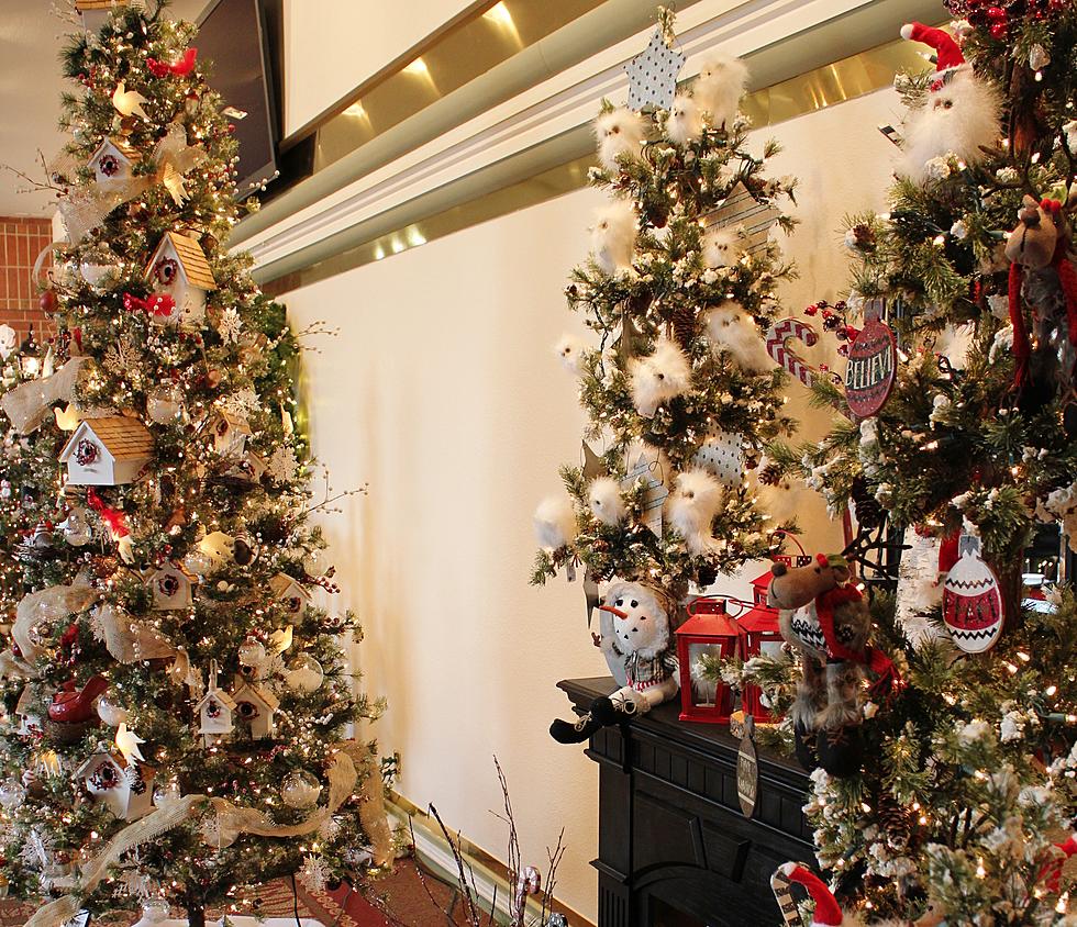 2014 Festival of Trees at Union Colony Civic Center Through Saturday, December 6