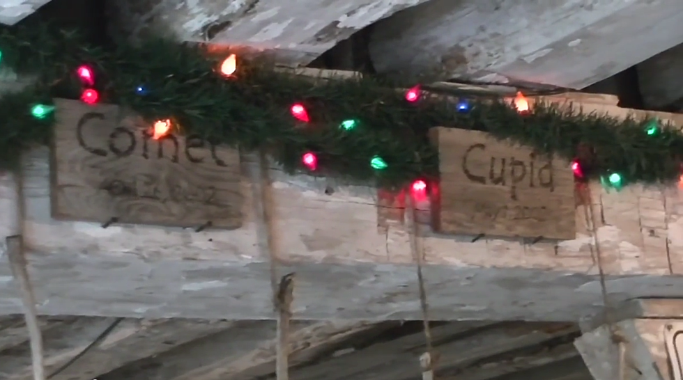 Santa’s Reindeer Get Final Check Up Before Their Big Flight [VIDEO]