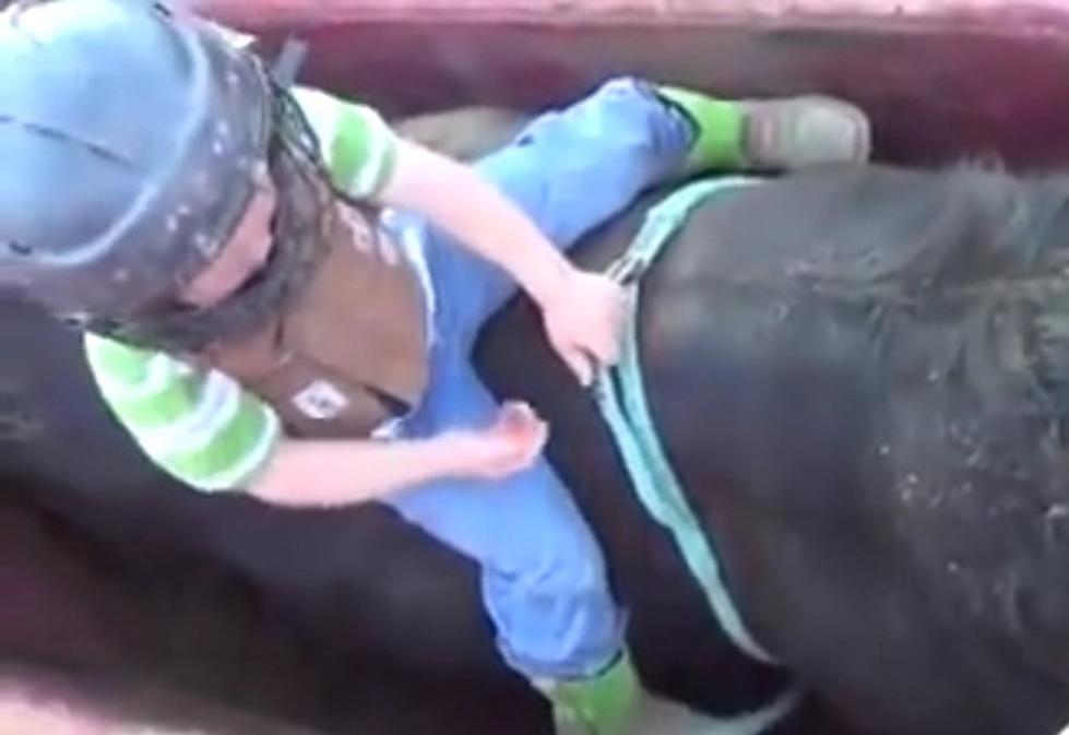 Watch an Adorable Three-Year-Old Boy Ride a Real Live Bull [VIDEO]