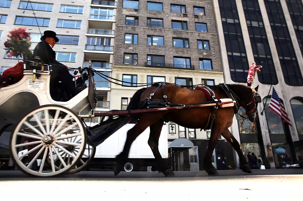 Horse-Drawn Magic to Start Soon At the Promenade Shops 