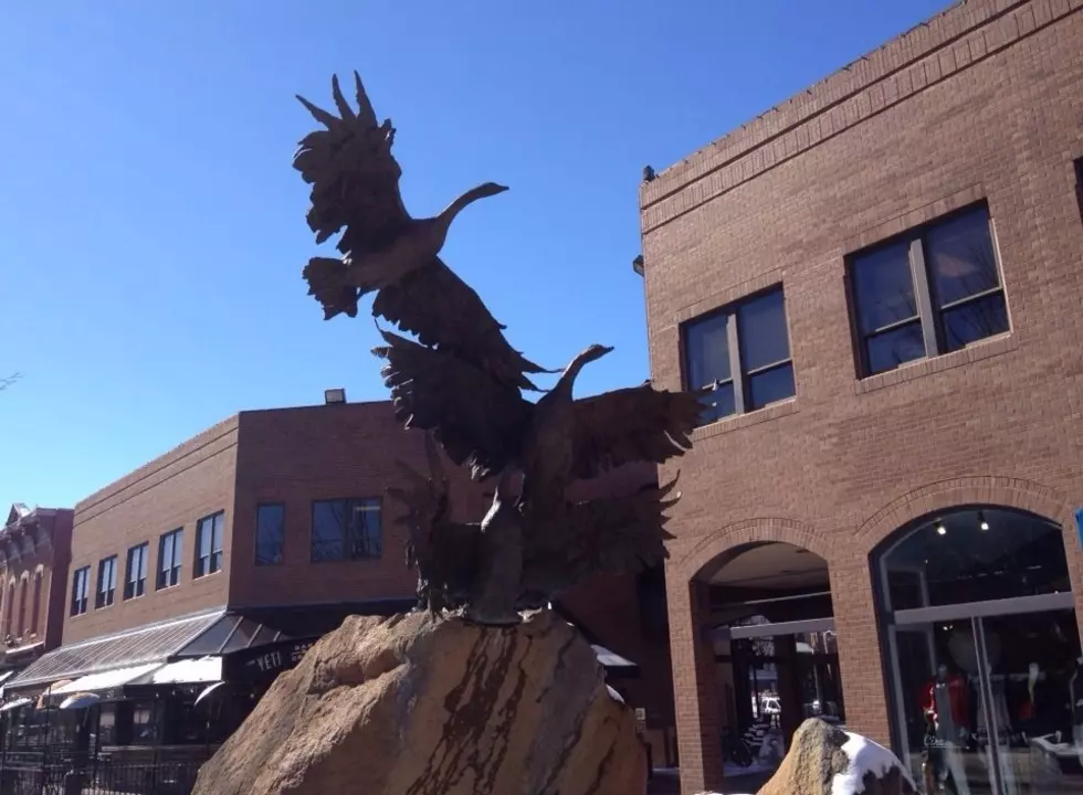 Madi and Todd Come Up With a New Slogan for Fort Collins [VIDEO]