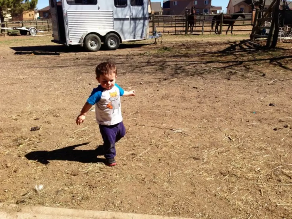 Brian&#8217;s Grandsons Have a Blast at Susan&#8217;s Farm &#8211; Brian&#8217;s Blog [PICTURES]