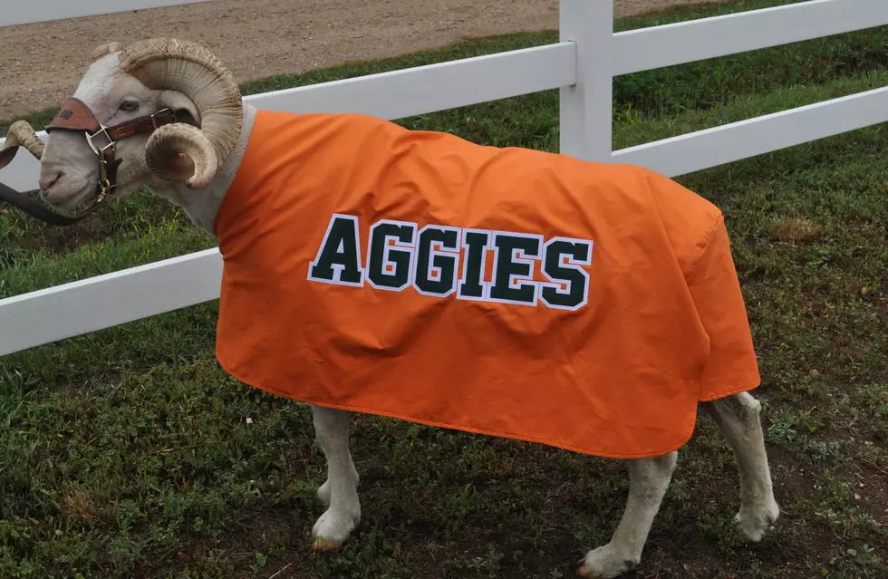 CSU Ag Day 2018 Barbecue to be Held on Campus September 22