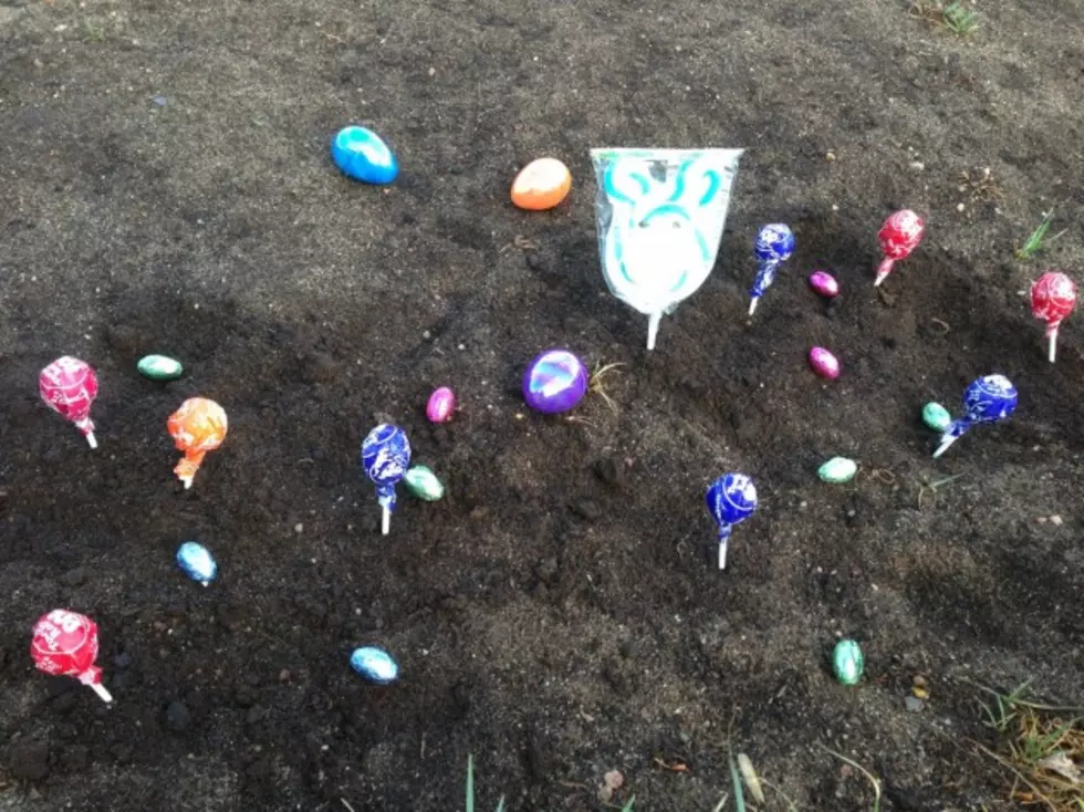 Plant a Candy Garden With Your Children This Easter &#8211; Brian&#8217;s Blog
