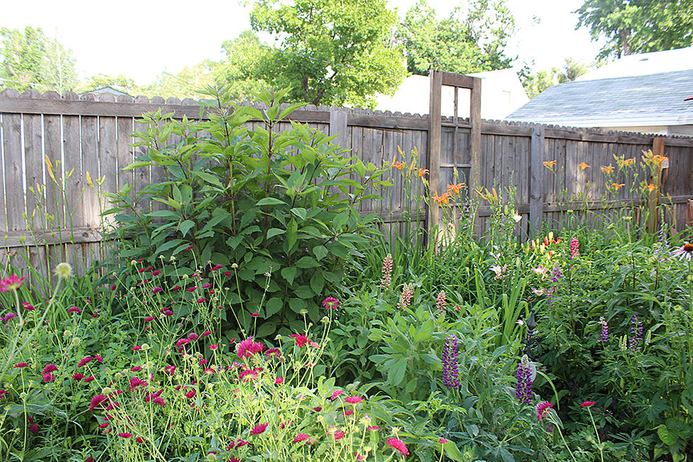 22nd Annual Greeley Garden Tour: Saturday, June 27th