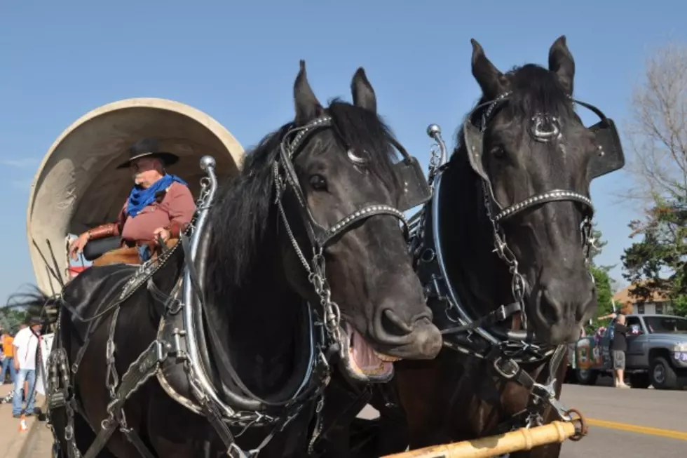 Look Out for Good Morning Guys in the Larimer County Fair Parade