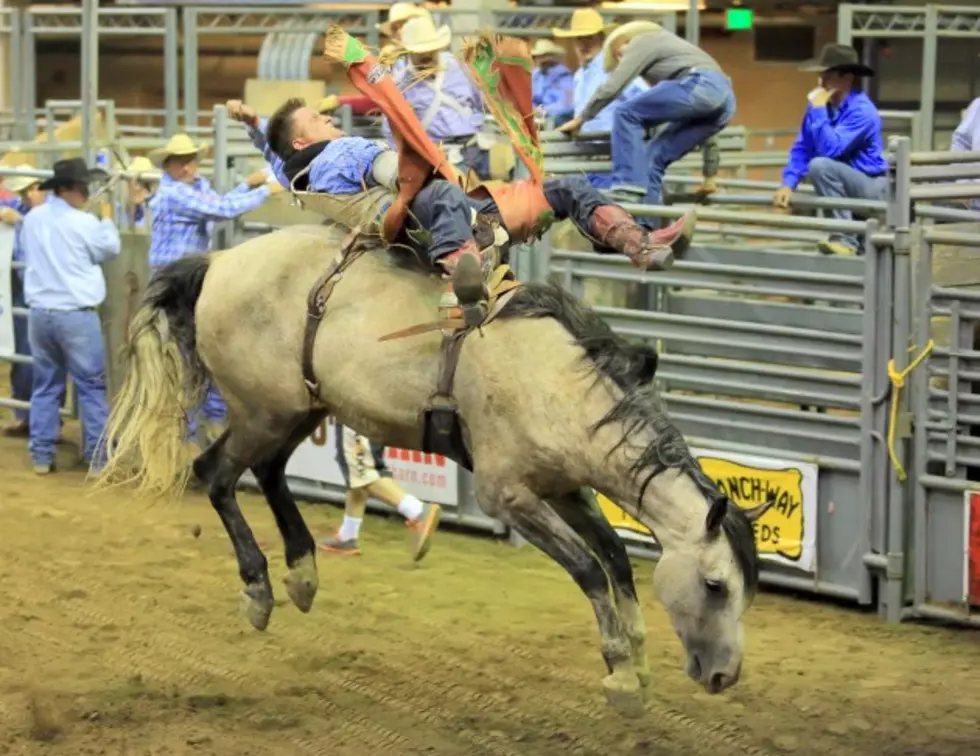 Larimer County Fair Features Three PRCA Rodeos &#8211; Ticket Info
