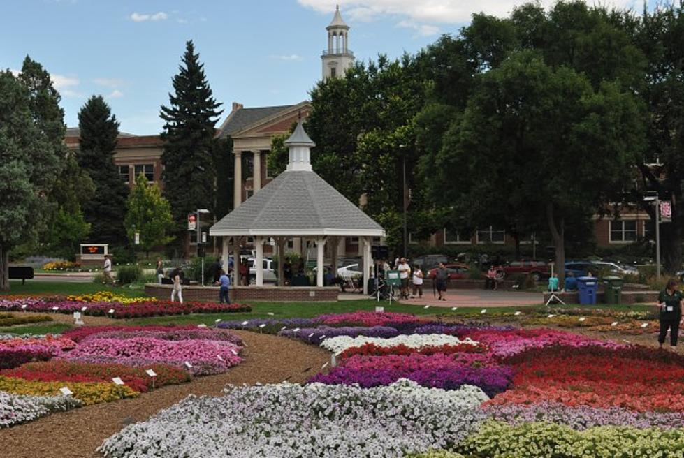 Best Place to Visit in Fort Collins During the Summer [PICTURES]