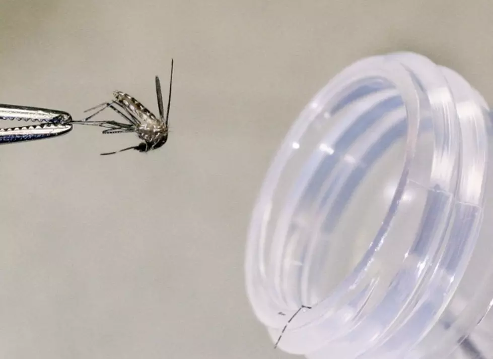 Larimer County Health Department Confirms West Nile Virus Cases