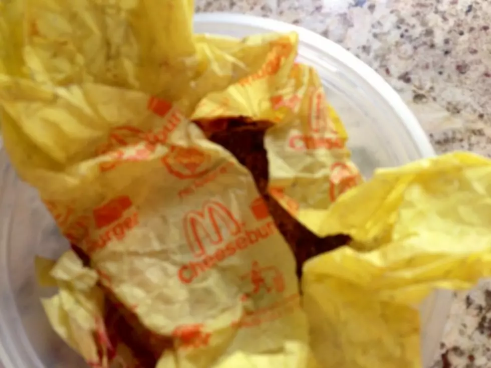 See What a 12 Year Old McDonald&#8217;s Cheeseburger Looks Like [VIDEO]