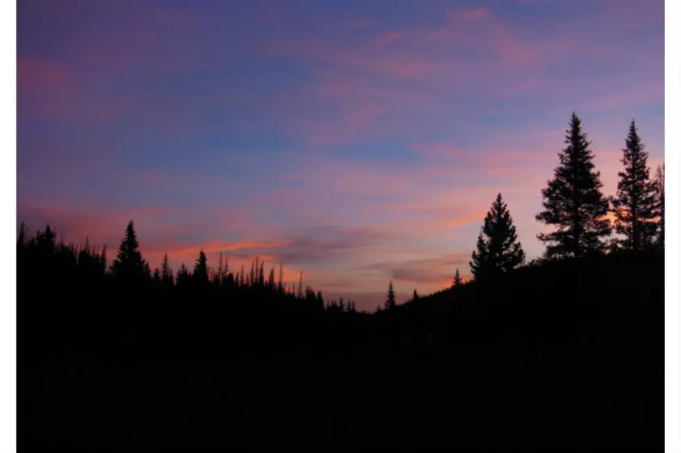 Experience a Magnificent Morning Adventure in Northern Colorado– And Maybe Even See a Moose!