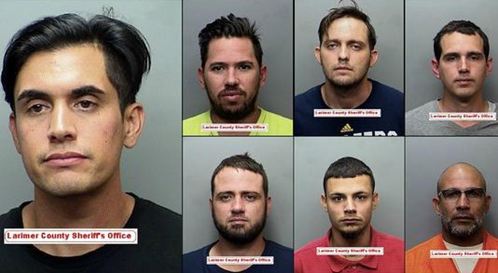7 Jailed In Larimer County For Illegal Pot Grow, Extortion Case