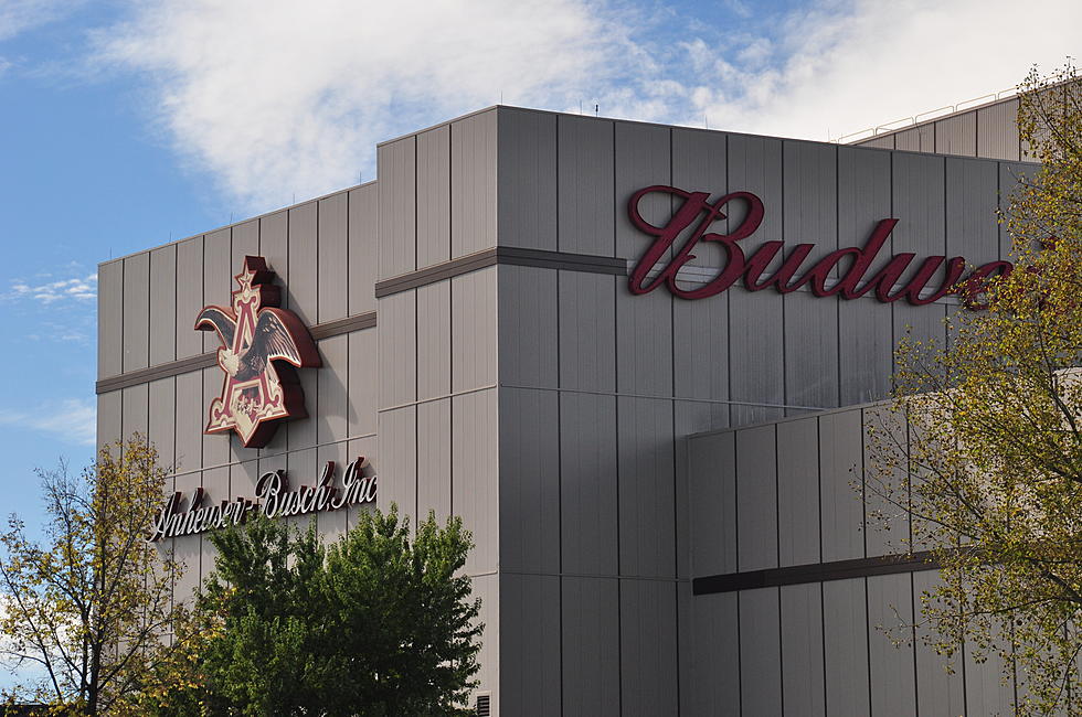Anheuser-Busch Gives Big Check to Veterans Plaza of Northern Colorado