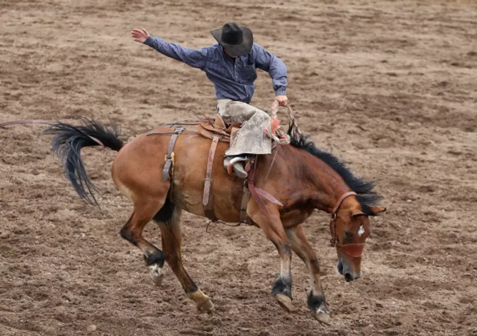 Highlights From the PRS Frontier Challenge Rodeo in Loveland [VIDEO]