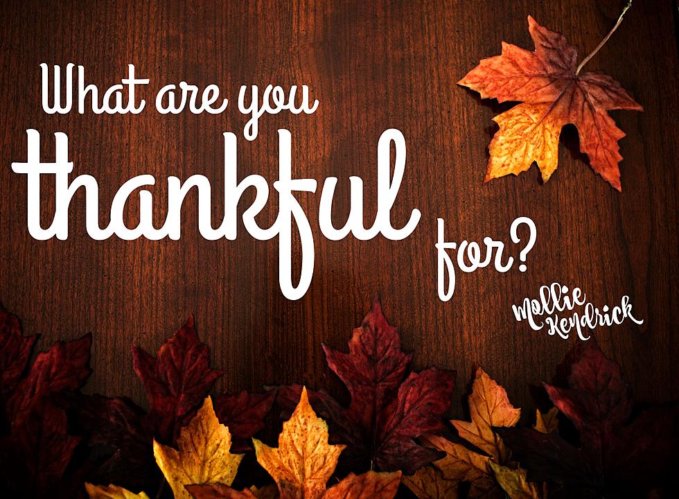 What are You Thankful for? 