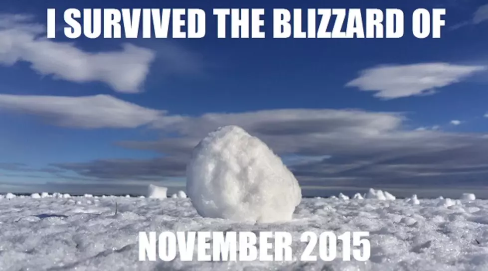 I Conquered the Blizzard of November 2015
