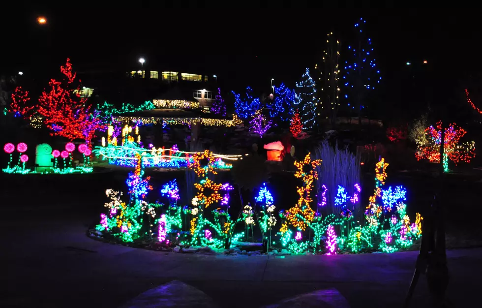 Top 5 Christmas Lights Displays in Fort Collins for 2015 [PICTURES]