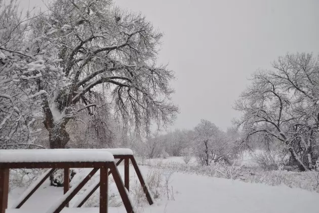 Northern Colorado Snowfall Totals &#8211; December 15, 2015