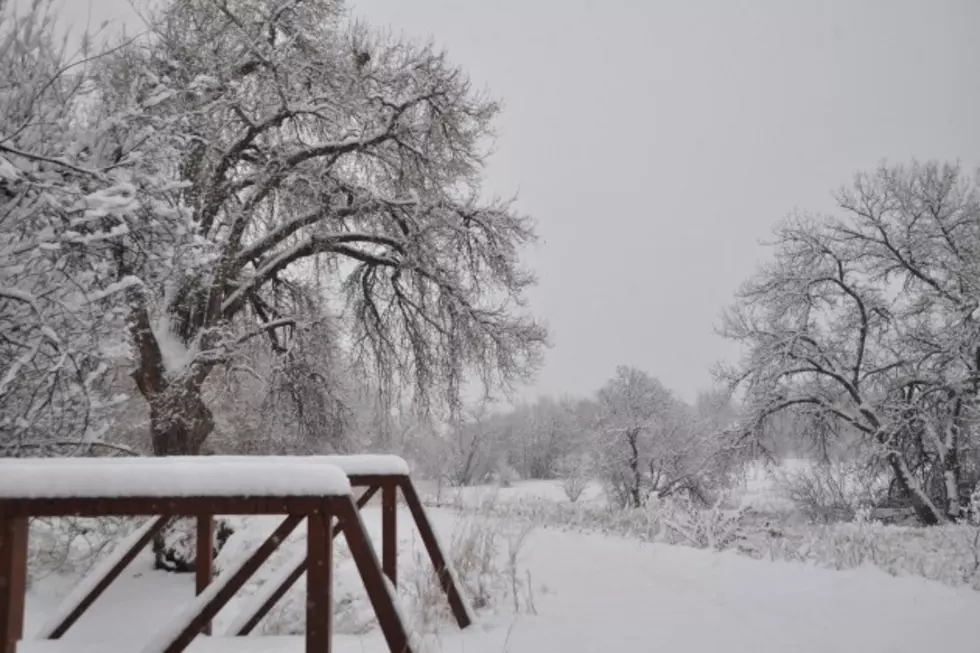 Northern Colorado Snowfall Totals – December 15, 2015