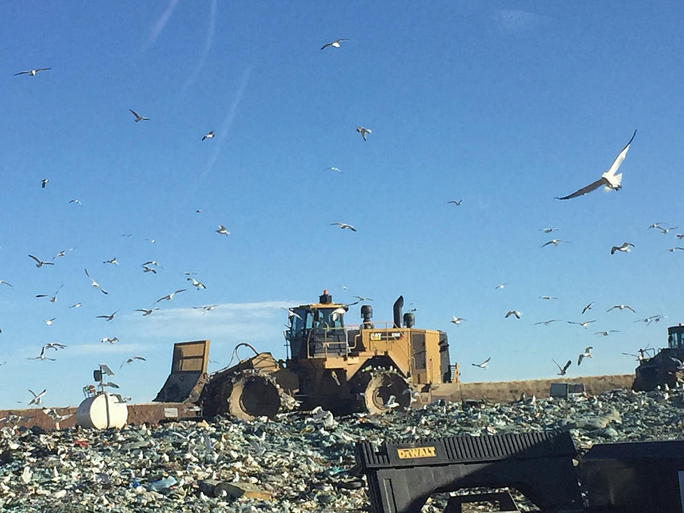 Larimer County Landfill Rates To Rise In 2021