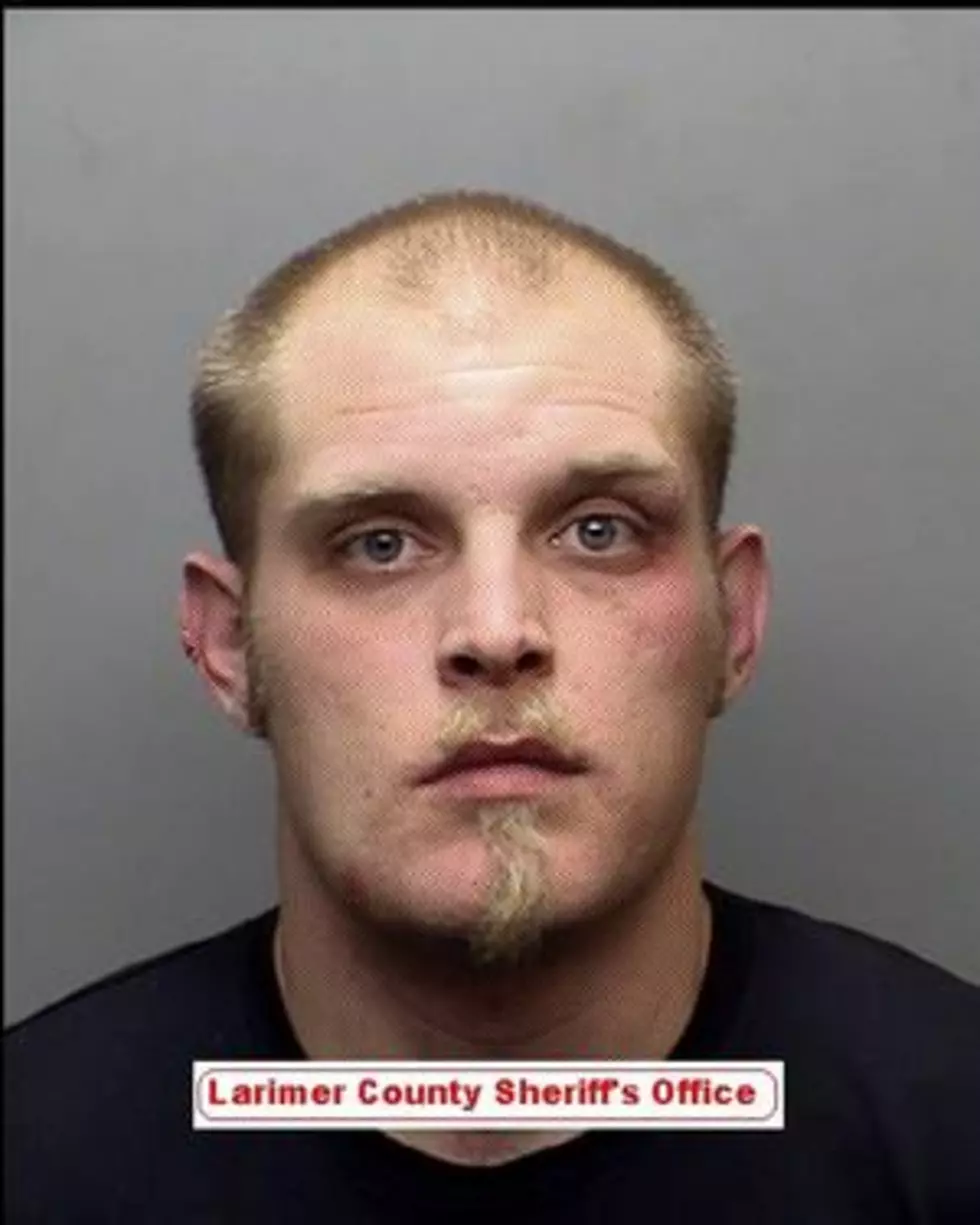 Fort Collins Man Assaults Deputy During K-9 Assisted Drug Bust