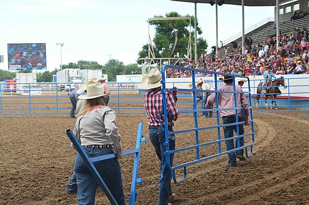 Stampede Wranglers accepting applications for new volunteers