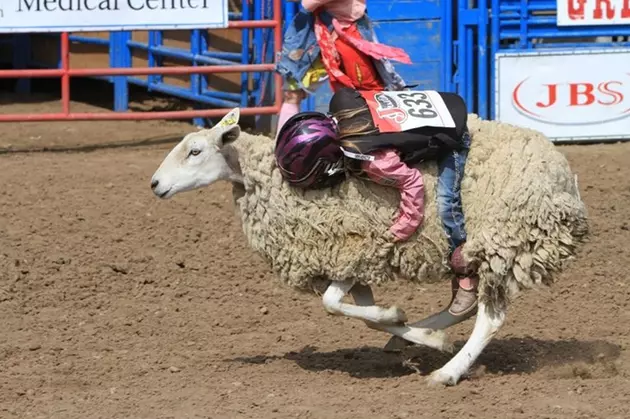 Greeley Stampede Kids Rodeo Applications Now Available