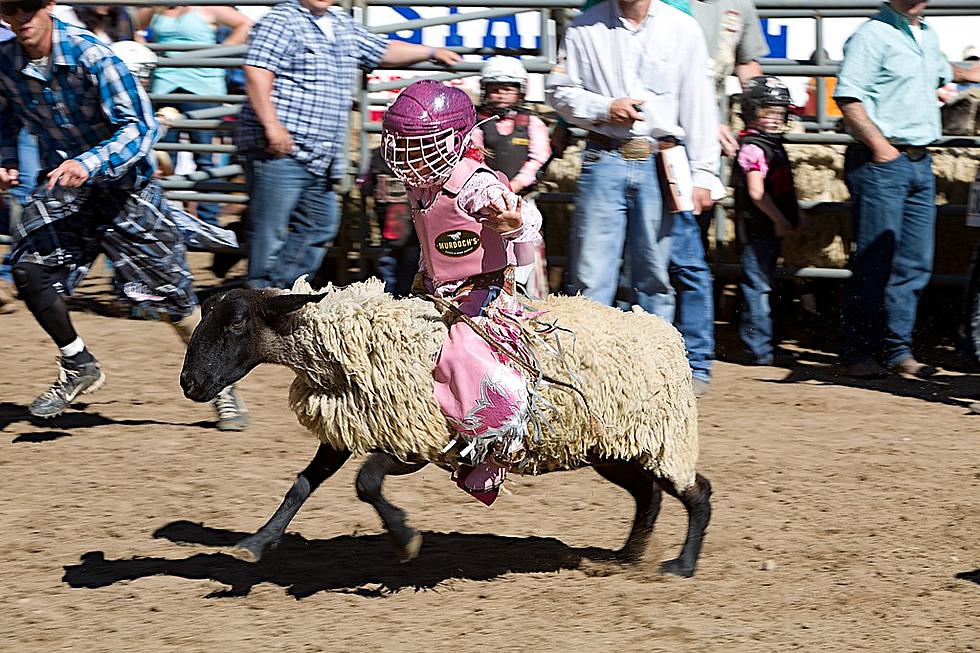 Greeley Stampede Now Accepting Mutton Bustin’ Entries