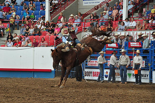 Rodeo 34 Award to Recognize Top Contestant in Northern Colorado