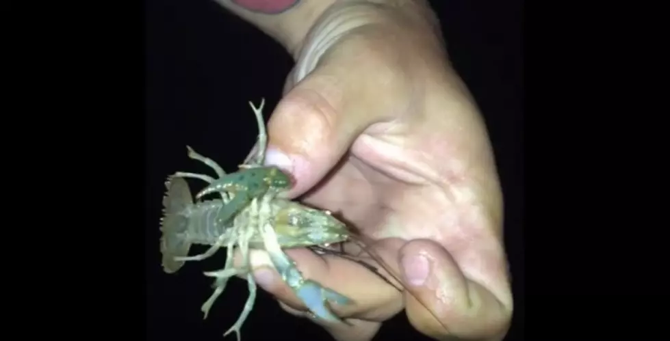 I Found a Video of Myself Acting Like a Total Kid at Lonetree Resevervior Catching Crayfish