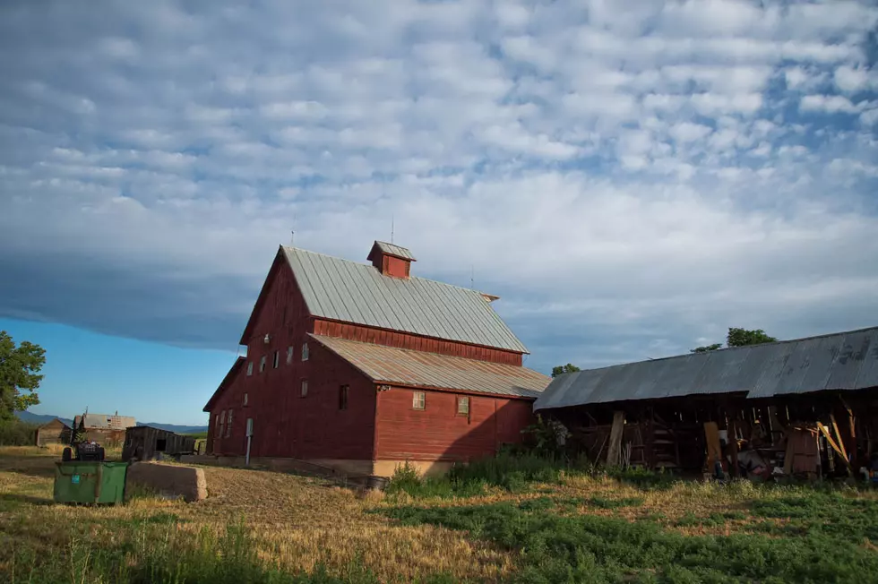 Larimer County Purchases Farm Near Berthoud With Water Rights